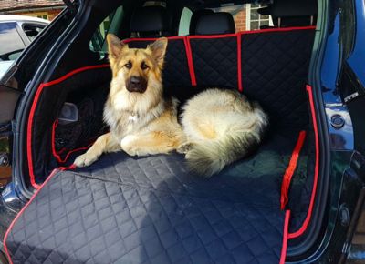 Aungus the Alsatian - Porsche Cayenne Boot Liner