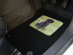 Heelpad Options