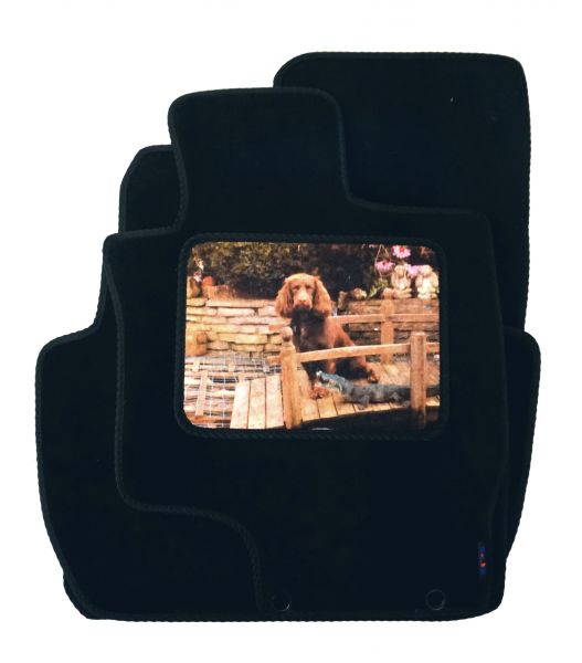 Get a Garden Snapshot of Your Pooch on your Mitsubishi Outlander PHEV Heelpad