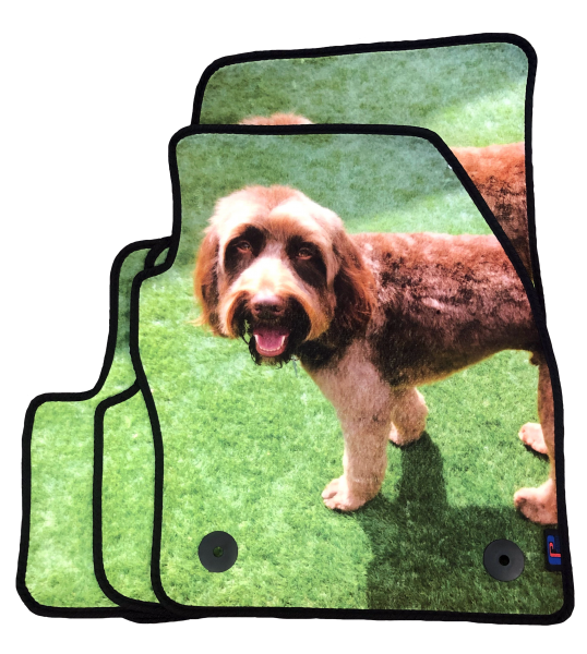 Your Best Friend Smiling Back at you on your Volkswagen Polo Mats