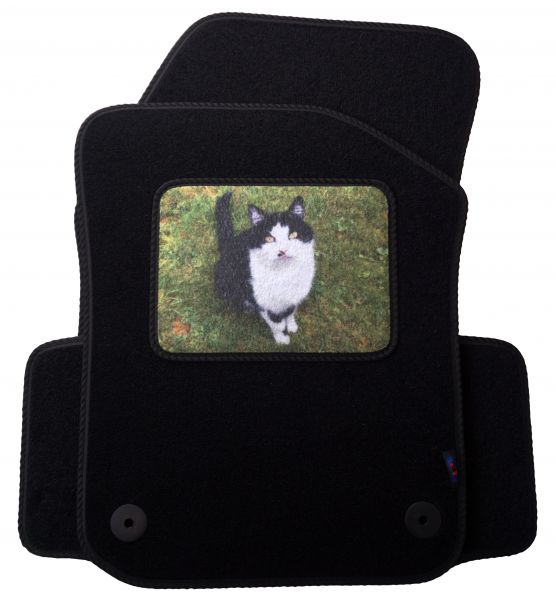 A Photo of your Feline on your Volkswagen UP Heelpad